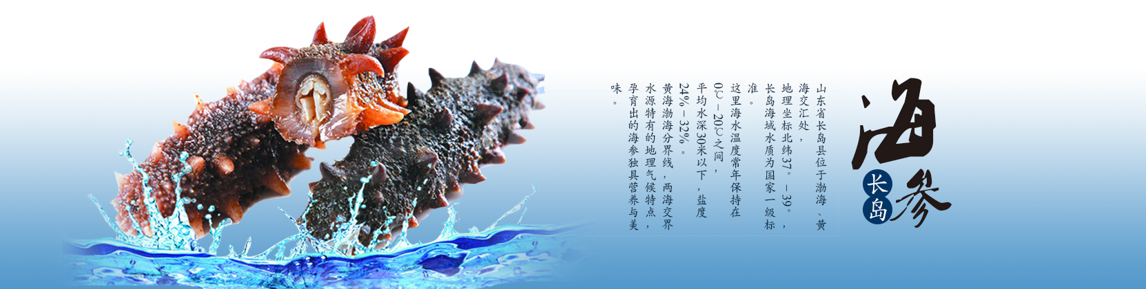 濟(jì)寧鑫欣超聲電子設(shè)備有限公司